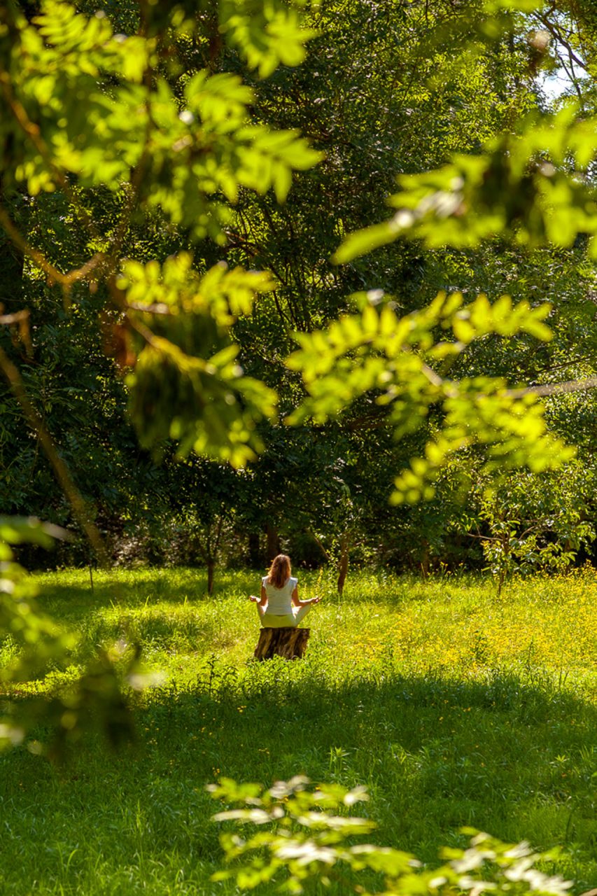 Communion avec la nature