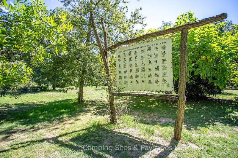 Le Moulin, a campsite located in the middle of nature where we can observe more than 70 bird species.